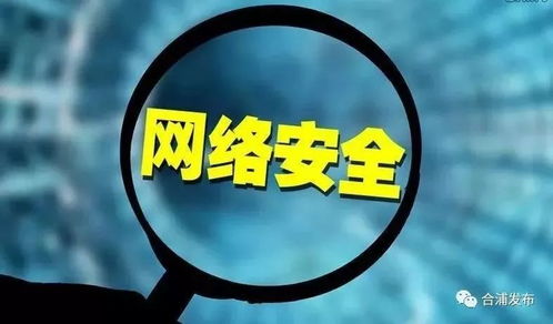 網(wǎng)絡(luò)與信息安全軟件開發(fā)手冊(cè) 構(gòu)建數(shù)字世界的堅(jiān)固防線